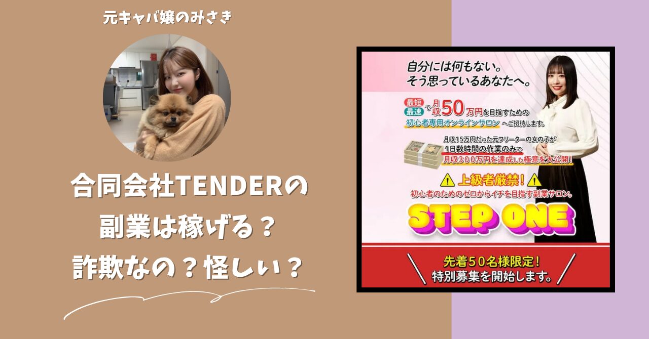 合同会社TENDER｜南るかが運営する"STEPONE(ステップワン)"は稼げない？怪しい？副業詐欺？調べてみたら・・・