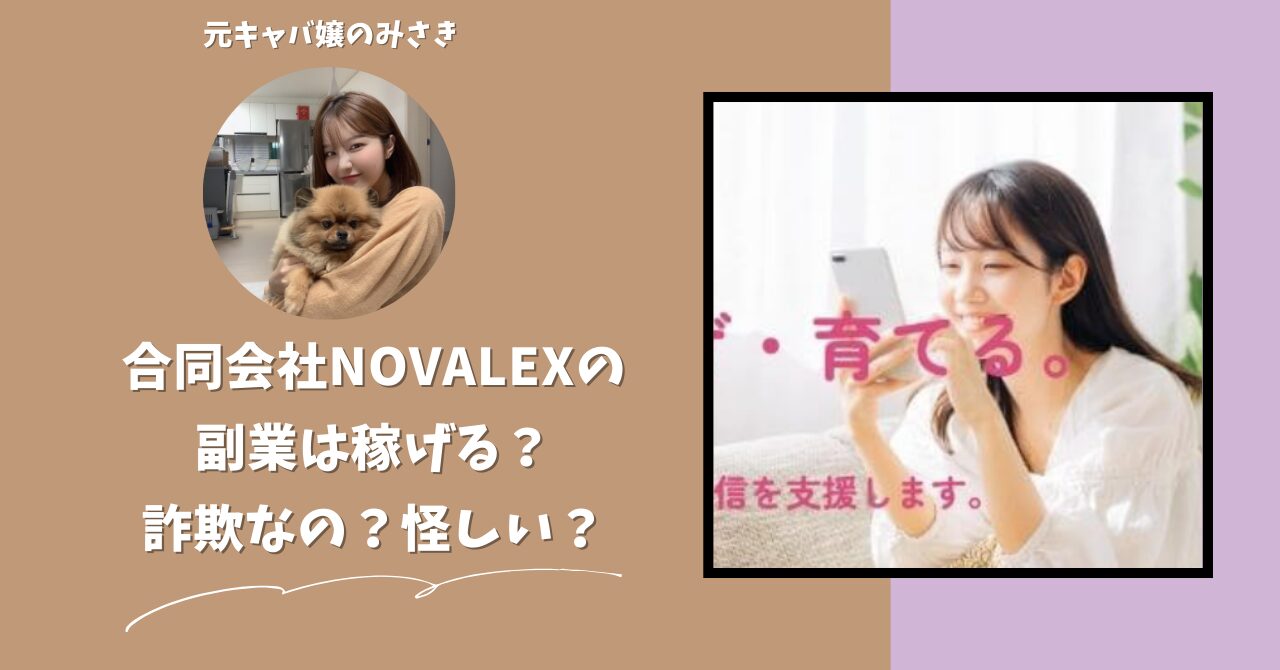 合同会社NOVALEX｜諸遊康治が運営する副業サイトは稼げない？怪しい？副業詐欺？調べてみたら・・・